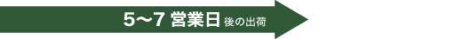 5〜7営業日後の出荷