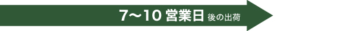 7〜10営業日後の出荷